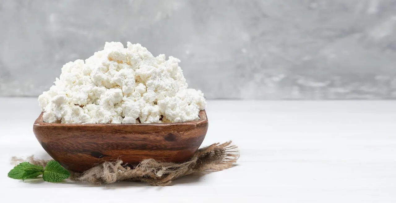 ricotta