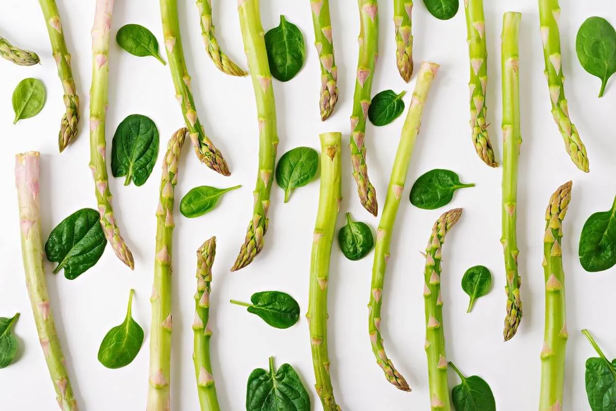 asparagi