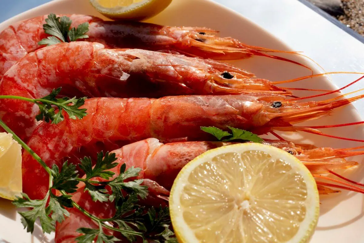 7 pranzi perfetti per una settimana di recupero post festa